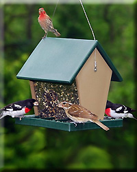 RECYCLED PLASTIC LARGE HOPPER FEEDER