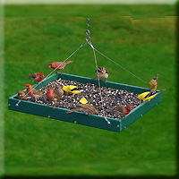 Large Hanging Platform Feeder