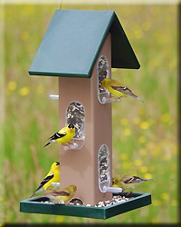TUBE FEEDER WITH SEED TRAY