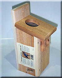 BLUEBIRD BOX SCREEN TOP