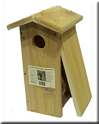 Woodpecker House Flicker