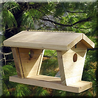 BLUEBIRD FEEDER