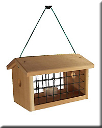 Protected Bluebird Jail Feeder