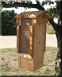 Ultimate Woodpecker Feeder