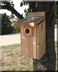 ULTIMATE BLUEBIRD HOUSE