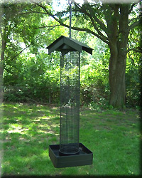 Cylinder Pest Proof Bird Feeder