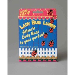 Lady Bug Lure