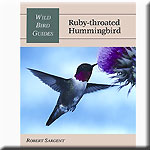 Wild Bird Guides Ruby Throated Hummingbird