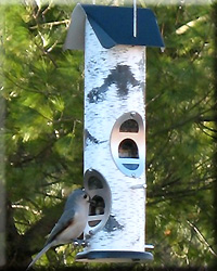 BIRCH LOG MIXED SEED