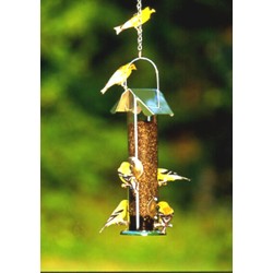 CLEAR THISTLE NYGER TUBE