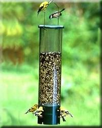 BOUNCER SQUIRREL PROOF FEEDER