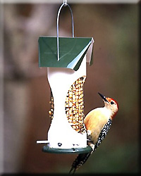 WOODPECKER FEEDER 1QT
