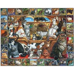WORLD OF CATS