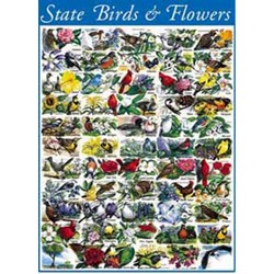 State Birds and Flowers