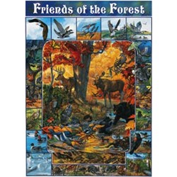 FRIENDS OF THE FOREST