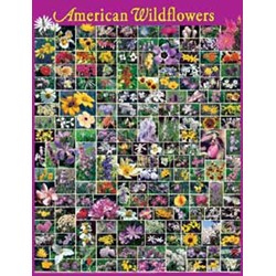 American Wildflowers