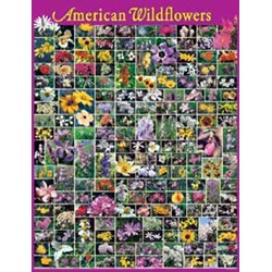 AMERICAN WILDFLOWERS