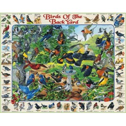BIRDS OF BACKYARD