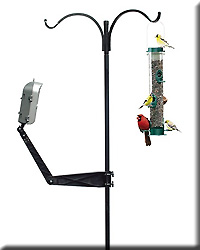 BIRDCAM MOUNTING ARM