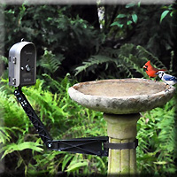 AUDUBON BIRDCAM 5MP