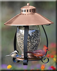 Copper Lantern Feeder