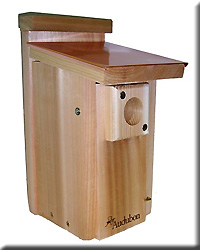 Coppertop Bluebird House