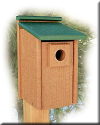 GOING GREEN BLUEBIRD HOUSE