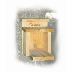 SQUIRREL MUNCH BOX