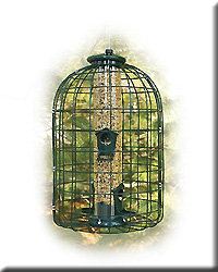 Caged Mixed Seed Tube Feeder