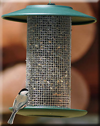 GREEN STEEL MAGNUM SUNFLOWER FEEDER