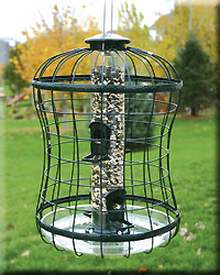 CAGED SEED TUBE FEEDER