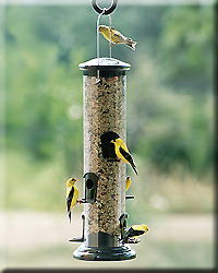 MEGA TUBE FEEDER